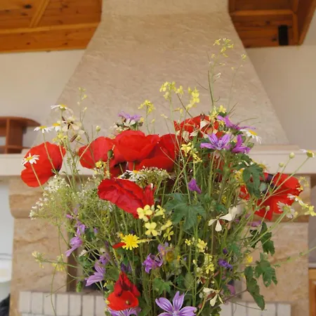 בית כפרי Country House On Stara Planina 26
